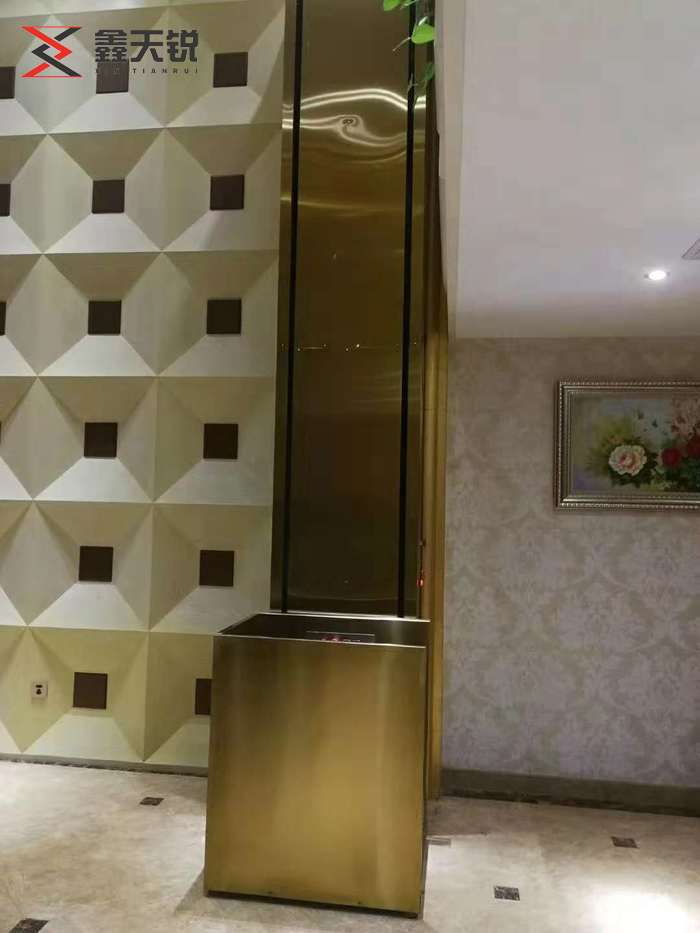 广安残疾人升降机